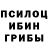 Галлюциногенные грибы прущие грибы AngryPeacefulRussian