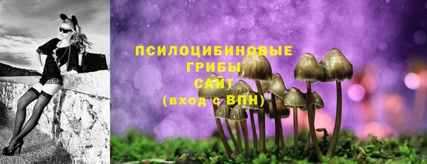 a pvp Армянск